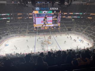 Vildt! NHL-klub solgt for 11 milliarder kroner