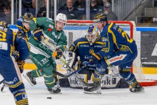 Stolt Cibulskis: Vild med Blue Fox-aftryk ved OL