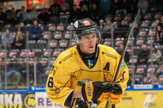 Metal Ligaen: Stillingen efter søndagens kampe