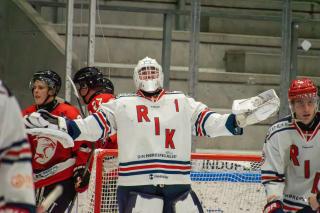 Divisionen: Rungsted - Odense i tal